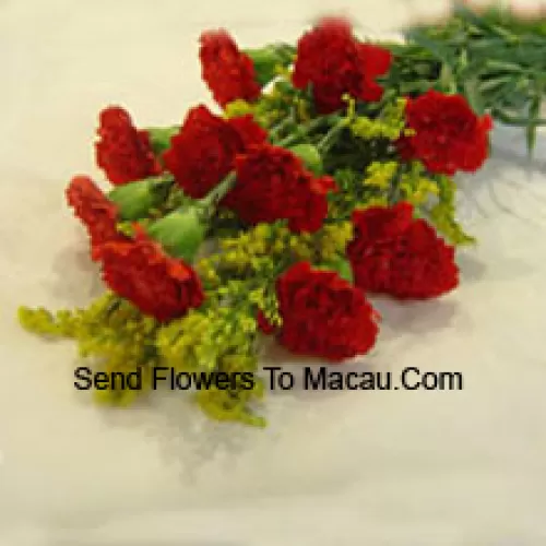 Bouquet de 11 oeillets rouges