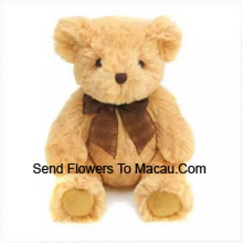 Cute Brown 6 Inch Teddy Bear
