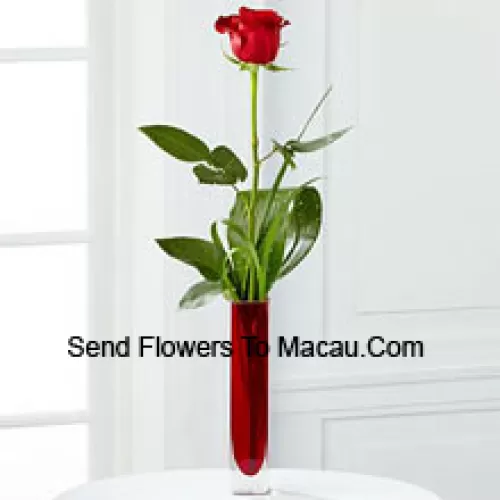 Una singola rosa rossa in un vasetto di provetta rosso (ci riserviamo il diritto di sostituire il vaso in caso di non disponibilità. Scorte limitate)