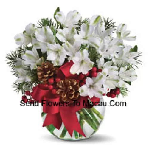 Share the magic of a white Christmas with this cheery bouquet of snowy white alstroemeria blossoms arranged in vase with festive holiday trim. (Please Note That We Reserve The Right To Substitute Any Product With A Suitable Product Of Equal Value In Case Of Non-Availability Of A Certain Product)